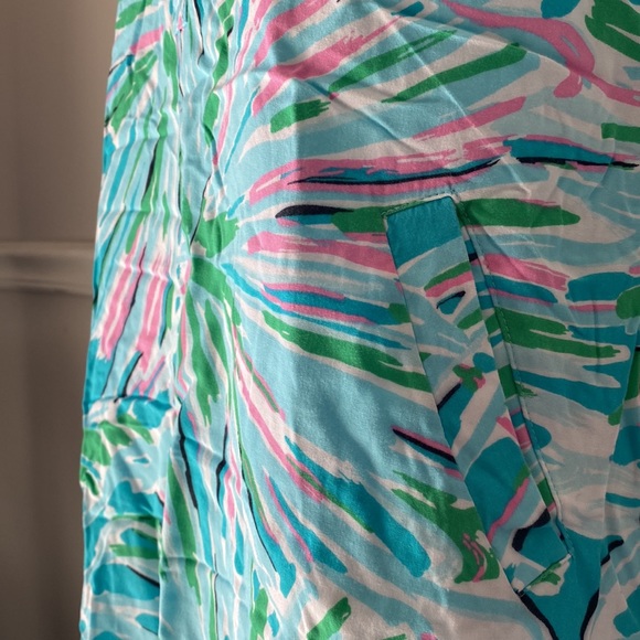 Lily Pulitzer Dress - Picture 4 of 4